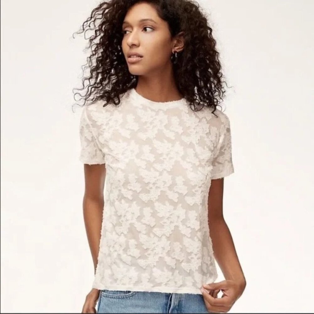 Wilfred Tarascon White Lace Appliqu Sheer Crewneck Shirt